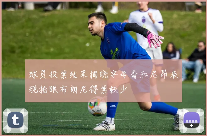 球员投票结果揭晓字母哥和尼昂表现抢眼布朗尼得票较少