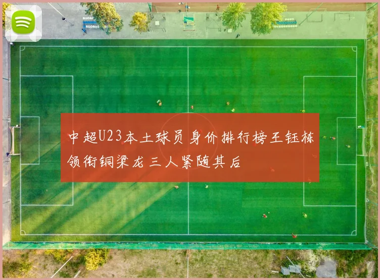 中超U23本土球员身价排行榜王钰栋领衔铜梁龙三人紧随其后