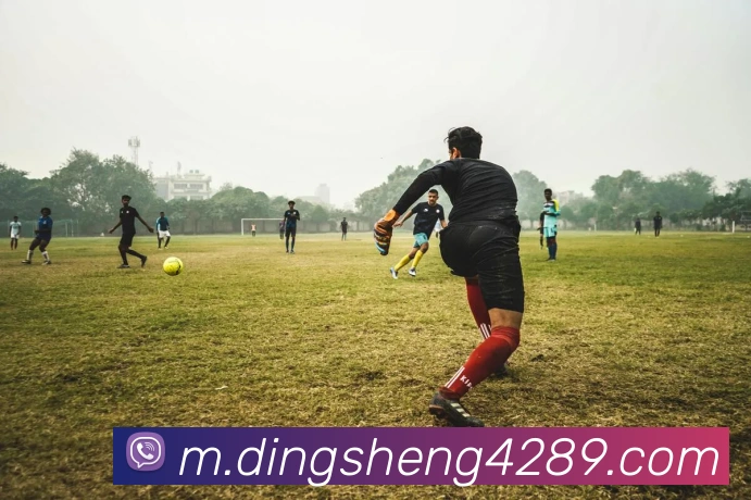 App Interface Preview