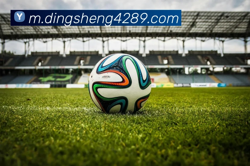 鼎盛棋牌APP 封面图